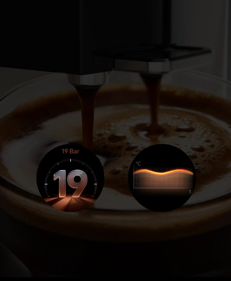 Σύστημα Χρυσής, <br class="coffeemas_c-pc-hide">Μεταξένιας Εκχύλισης