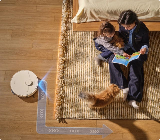 Αποφυγή χαλιών